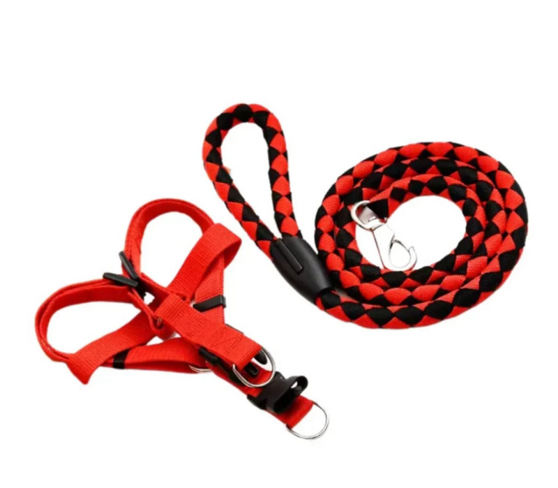 Kit Coleira Peitoral + Guia de Corda Reforçado – Passeios Confortáveis e Seguros!