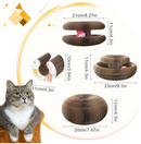 😻 Disco Arranhador Mágico 3 em 1 - Seu Gato Vai Ficar OBCECADO!