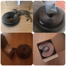 😻 Disco Arranhador Mágico 3 em 1 - Seu Gato Vai Ficar OBCECADO!