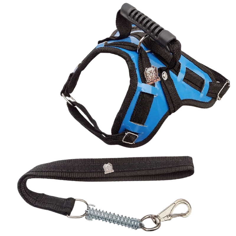 Peitoral Reforçado em Couro para Raças Fortes – Segurança, Durabilidade e Conforto